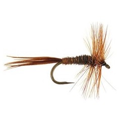 Barbless Flies Pheasant Tail BL $2.50