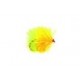 Lures 2 Tone Lead Sunburst $2.50