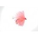 Lures Micro Coral Blob $2.50