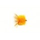 Lures FAB Sunburst Fire Tail Blob $2.50