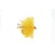 Lures Micro Sunburst Blob $2.50