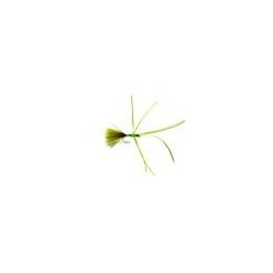 Lures Olive Critter $2.50