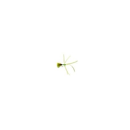Lures Olive Critter $2.50