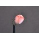 Lures Egg  Shrimp Pink $2.50
