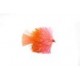 Lures KJ Orange & Coral Blob $2.50