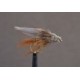 Lures Wickhams Fancy Mini Muddler $2.50