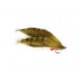 Lures Freds Flapper Olive $2.50