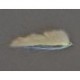 Lures BL Snakelet Natural White $2.50