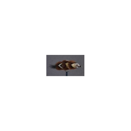 Lures Mrs Simpson $2.50