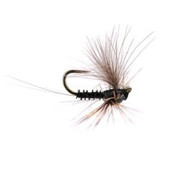Barbless Flies Reversed Black Quill BL $2.50