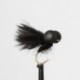 Boobies black booby $2.50
