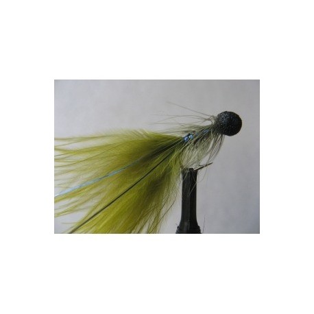 Boobies blue flash damsel booby $2.50