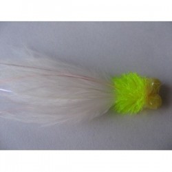Boobies cabbage cat longtail booby $2.50
