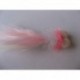 Boobies coral and white longtail booby $2.50