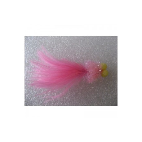 Boobies coral longtailed booby $2.50