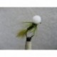 Boobies damsel white eyes booby $2.34