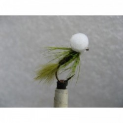 Boobies damsel white eyes booby $2.50