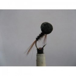 Boobies diawl bach booby $2.50