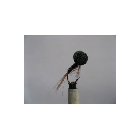 Boobies diawl bach booby $2.50