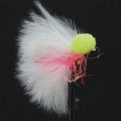 Boobies green eyed coral straggle white tail booby $2.50