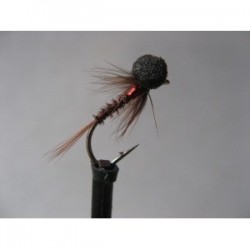 Boobies ians holo red cruncher booby $2.50