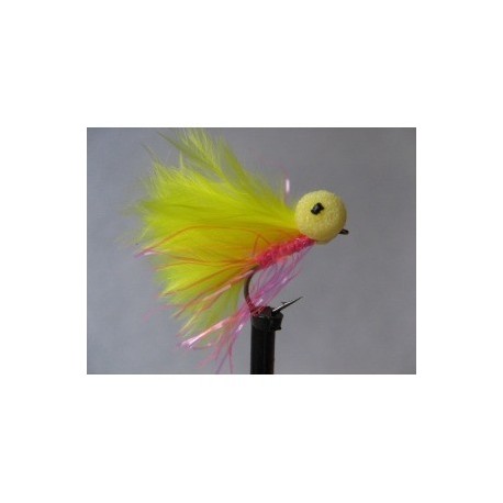 Boobies sweet susan booby $2.50