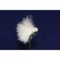 Boobies uv marabou cat mini bite booby $2.50