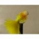 Boobies uv sunburst yellow mini bite booby $2.34