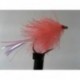 Blobs coral flashtail blob $2.50