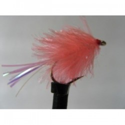 Blobs coral flashtail blob $2.50
