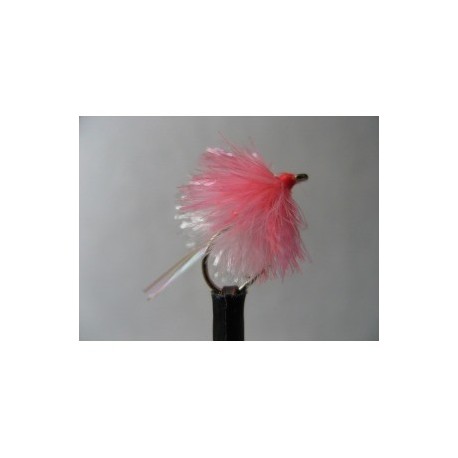 Blobs coralwhite stinger $2.50