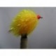 Blobs sunburst flashtail blob $2.50