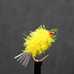Blobs sunburst midget gem $2.50