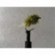 Blobs uv olive slimline blob $2.50