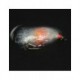 Blobs uv white with orange t 5 blob $2.50