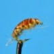 Beaded Nymphs Bead Head Czech Nymph Orange Back $2.50