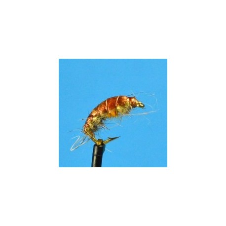 Beaded Nymphs Bead Head Czech Nymph Orange Back $2.50