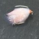 Blobs white coral milk shake jelly blob $2.50