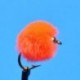 Beaded Nymphs Bead Head Egg Orange $2.50