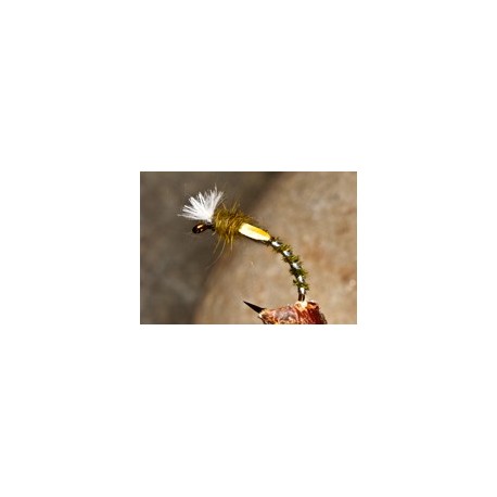 Buzzer Buzzer Quill Natural $2.50