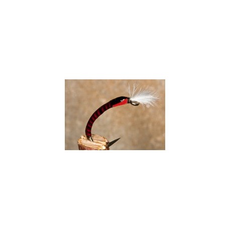 Buzzer Buzzer Quill Orange $2.34