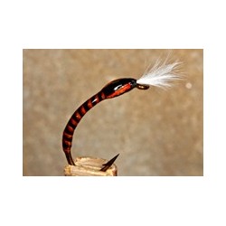 Buzzer Buzzer RhuRock Holo $2.50