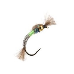 Buzzer Hatching Buzzer Bicolor $2.34