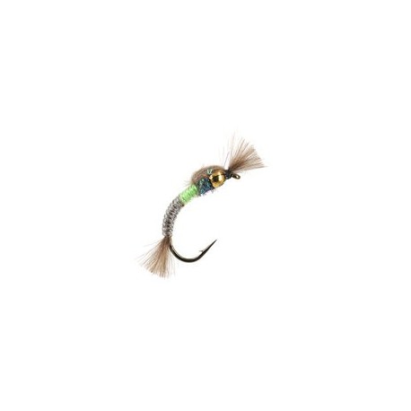 Buzzer Hatching Buzzer Bicolor $2.34