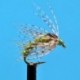 Beaded Nymphs Bead Head Holy Grail Hares Ear Olive $2.50