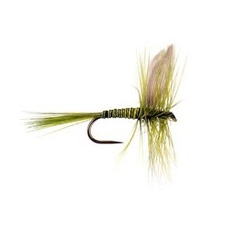 Barbless Flies BW $2.50