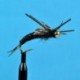 Beaded Nymphs Bead Head K's Stone Fly Black Rubber Leg $2.50