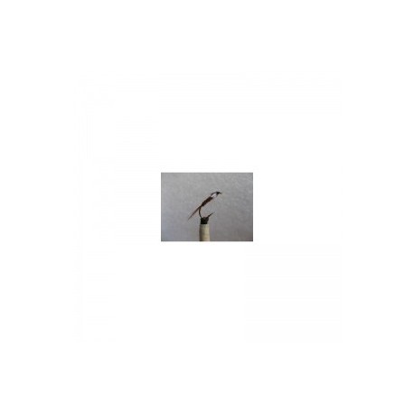 Nymphs pheasant tail muskins nymph( ) $2.50