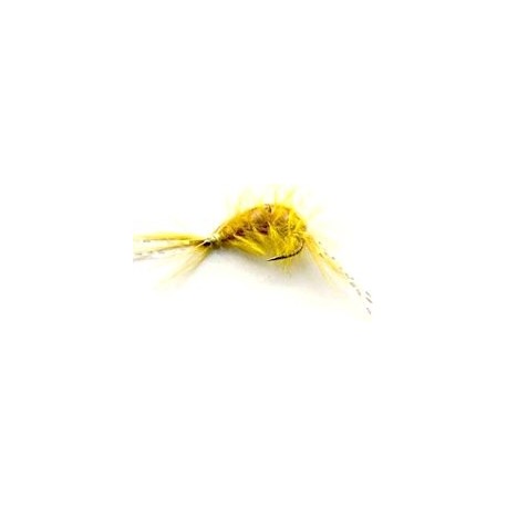 Nymphs tan scud button $2.50