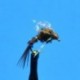Nymphs Bubble Back Emerger $2.34